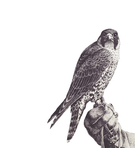 AF1QipPx4H5WS5yva7XOMUXfIc_sQ4sXZEQwawbOxB3sw800-h500-k-no.jpeg