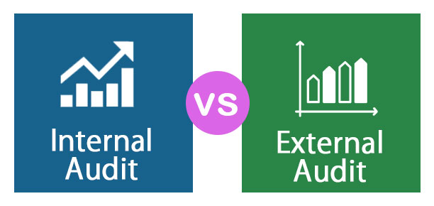 Internal and External Financial Audit