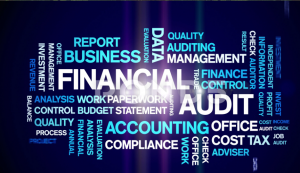 Financial Audit Process