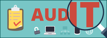 IT Auditing