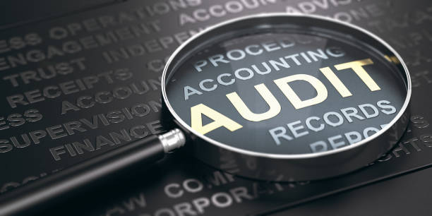 Accountants In Financial Audits